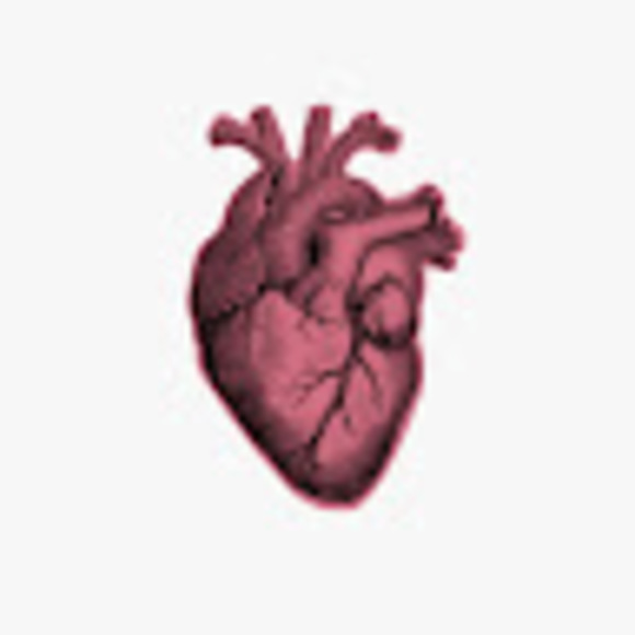 Meet your Posher, Ugly - Picture 1 of 1